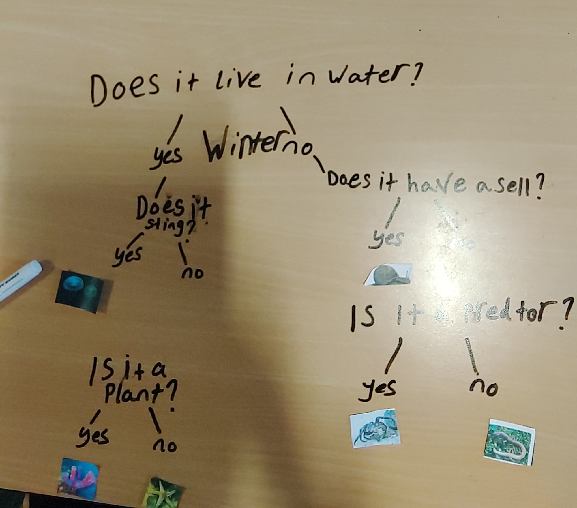 {item_alt_tag}