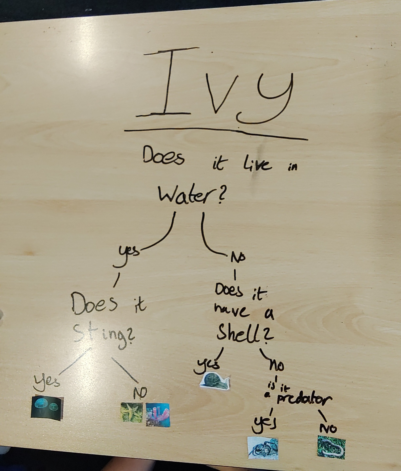 {item_alt_tag}